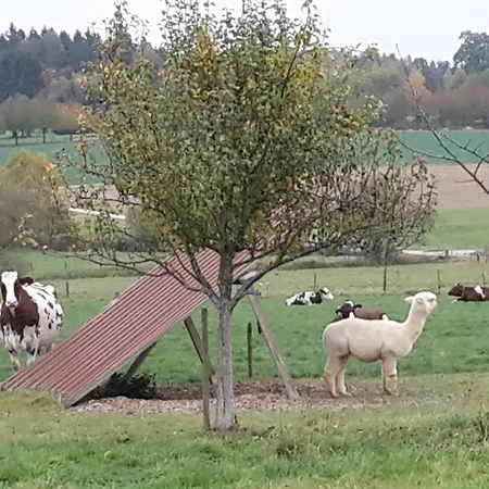 Casa Verde Ferienhaus Nyaraló *